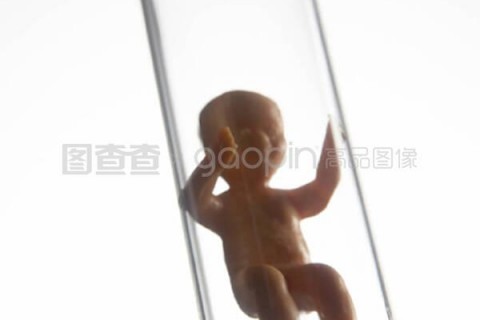 http://baoding.nbgk120.com/post/209.html|保定捐卵费用
