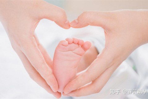 夏天保定捐卵宝宝发烧 莫要急