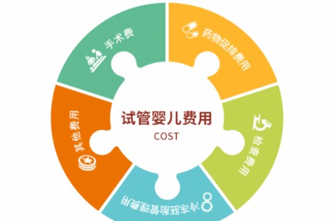 保定捐卵宝宝肚痛，父母该怎么办？